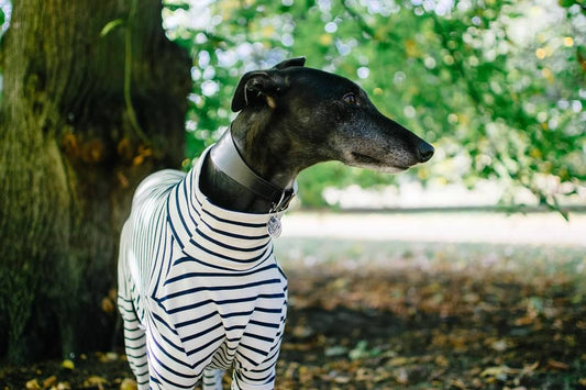 Charles in Kensington Gardens