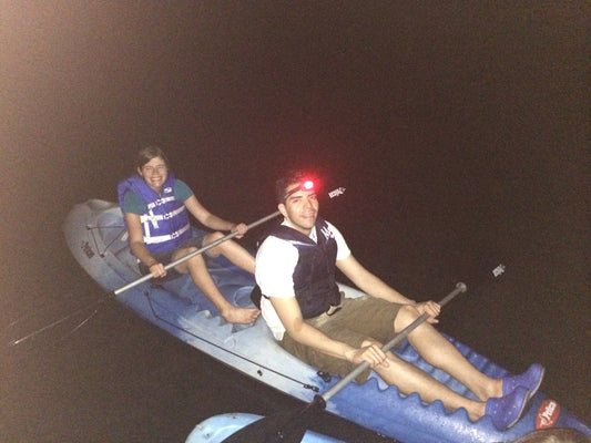 Bioluminescence