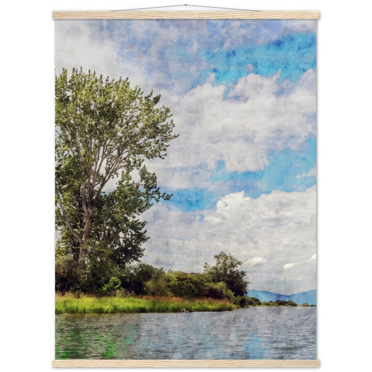 Sycamore in the Clark Fork Drift Yard