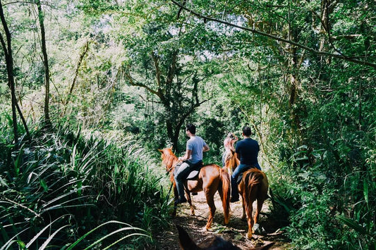 A Caballo con Mejores Amigos